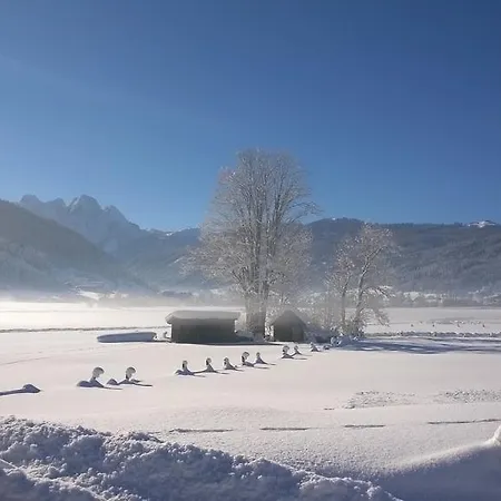 Appartementhaus Wehrenfennig Apartment